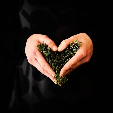 Havu 호텔 우시카우풍키